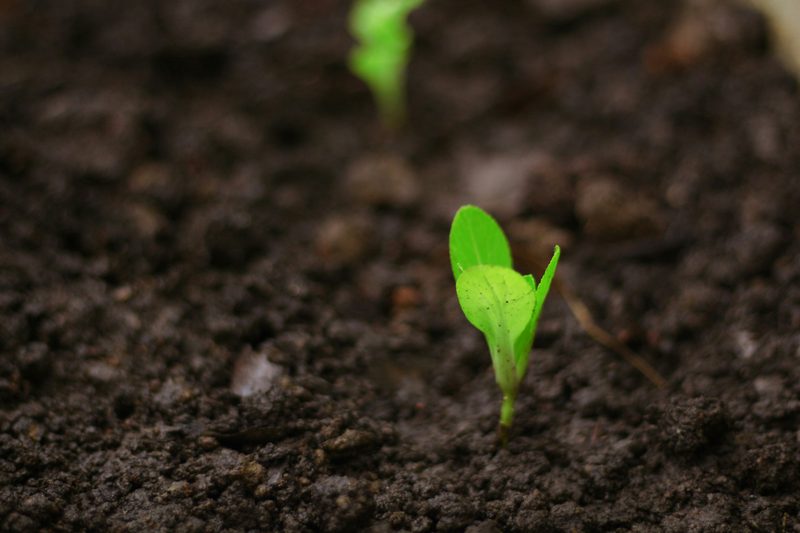 Écologie personnelle : prévenir la toxicité en équipe